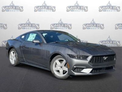 2026 Ford Mustang EcoBoost in Gray — front three-quarter view