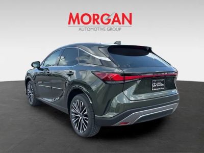 2026 Lexus RX — detail view