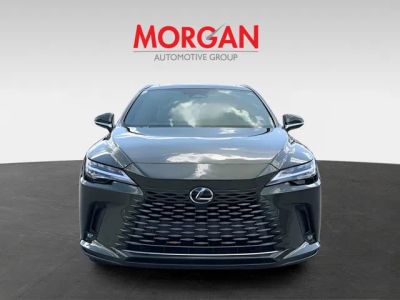 2026 Lexus RX — photo 8 view