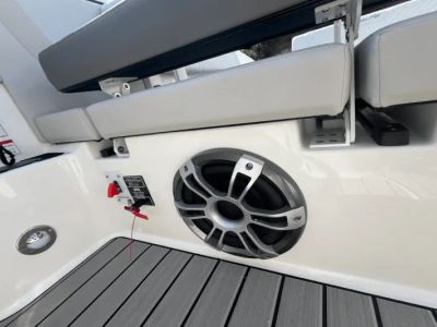 2025 Sea Ray SDX 270 - Photo 21