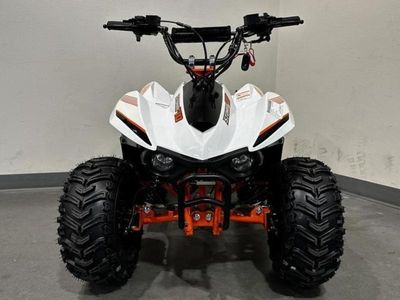 2026 Kayo Fox / Storm 70 - Photo 3