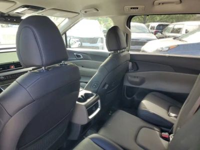 2026 Kia Carnival Hybrid — photo 24 view