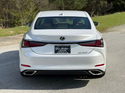 2024 Lexus ES — photo 10 view