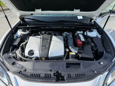 2024 Lexus ES — photo 14 view