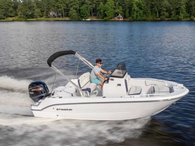 2026 Stingray 173CC - Photo 10