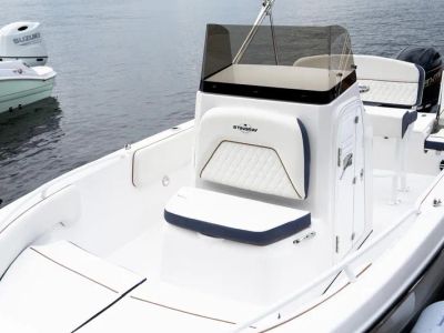 2026 Stingray 173CC - Photo 9