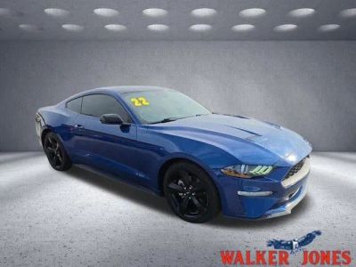 2022 Ford Mustang EcoBoost in Other — front three-quarter view