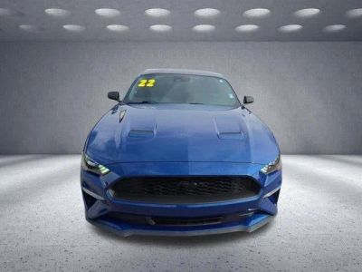 2022 Ford Mustang — side profile view