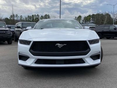 2026 Ford Mustang - Photo 8