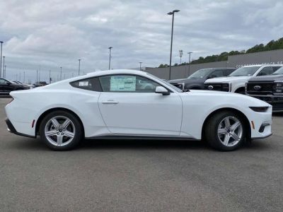 2026 Ford Mustang - Photo 2