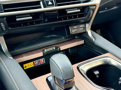 2024 Lexus RX — photo 30 view