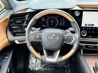 2024 Lexus RX — photo 23 view