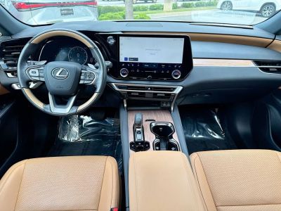 2024 Lexus RX — photo 24 view