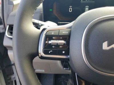 2026 Kia Carnival Hybrid — detail view