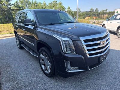 2017 Cadillac Escalade — detail view