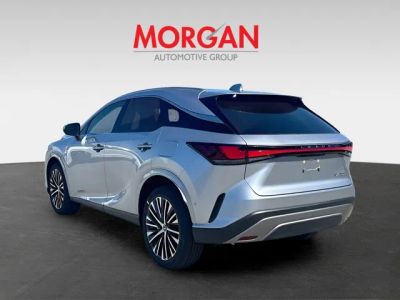 2026 Lexus RX — detail view