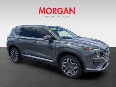 2022 Hyundai Santa Fe — side profile view