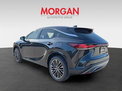 2026 Lexus RX — detail view