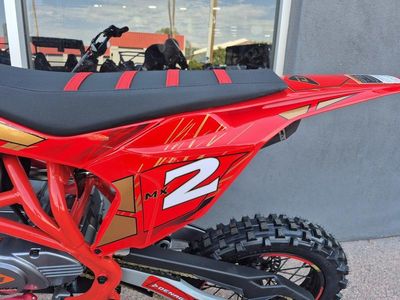 2026 Denago Powersports MX2 - Photo 11