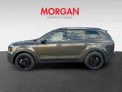 2024 Kia Telluride — detail view