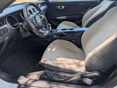 2019 Ford Mustang - Photo 12