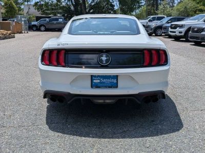 2019 Ford Mustang - Photo 4