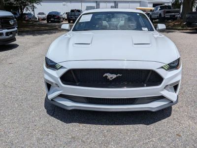 2019 Ford Mustang - Photo 8