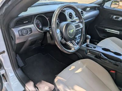 2019 Ford Mustang - Photo 25