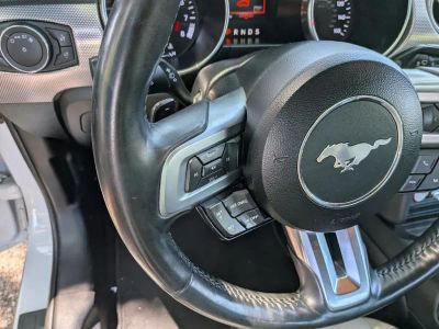2019 Ford Mustang - Photo 15