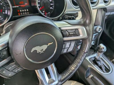2019 Ford Mustang - Photo 11