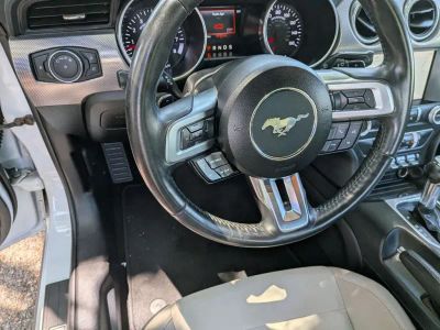2019 Ford Mustang - Photo 24