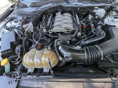 2019 Ford Mustang - Photo 10