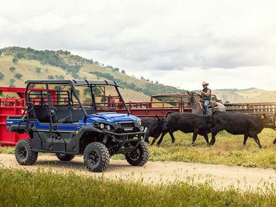 2026 Kawasaki MULE PRO-FXT 1000 LE - Photo 9