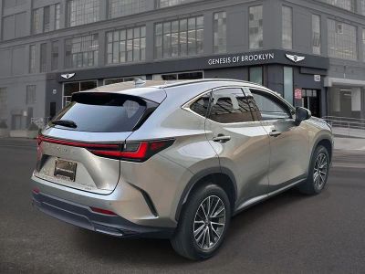 2024 Lexus NX — detail view