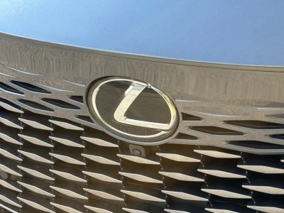 2024 Lexus RX - Photo 5