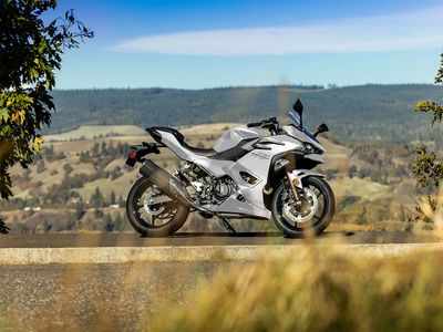 2025 Kawasaki Ninja 500 ABS - Photo 18