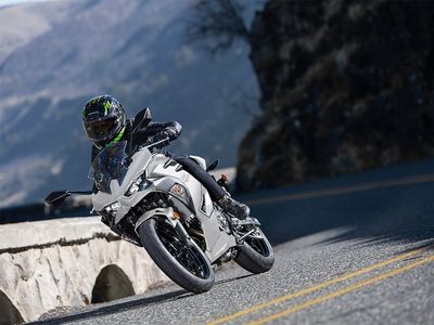 2025 Kawasaki Ninja 500 ABS - Photo 14