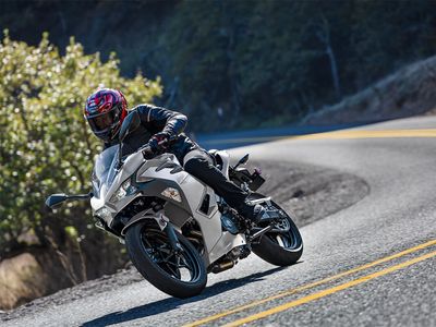 2025 Kawasaki Ninja 500 ABS - Photo 15