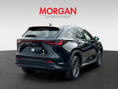 2024 Lexus NX - Photo 3