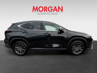 2024 Lexus NX - Photo 2