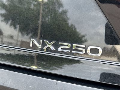 2024 Lexus NX - Photo 10