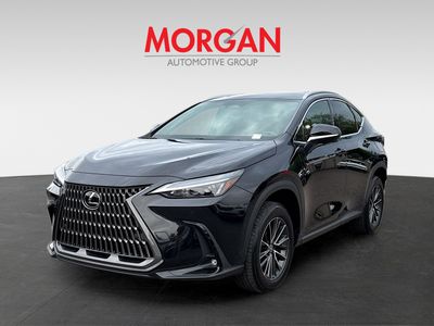 2024 Lexus NX - Photo 7
