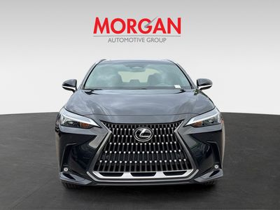 2024 Lexus NX - Photo 8
