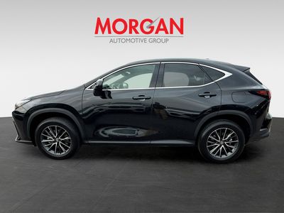 2024 Lexus NX - Photo 6