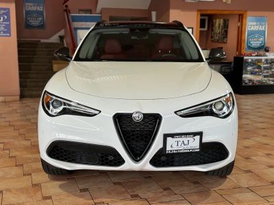 2019 Alfa Romeo Stelvio — photo 32 view