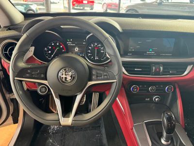 2019 Alfa Romeo Stelvio — photo 14 view