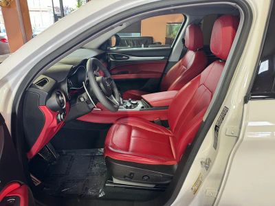2019 Alfa Romeo Stelvio — photo 8 view