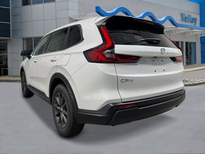 2026 Honda CR-V - Photo 3