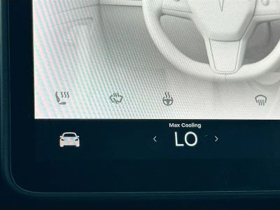 2022 Tesla Model Y — photo 19 view