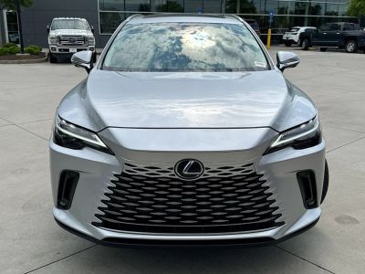 2024 Lexus RX - Photo 4